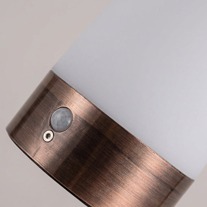 Close-up detail of the motion sensor and power control on the lamp housing