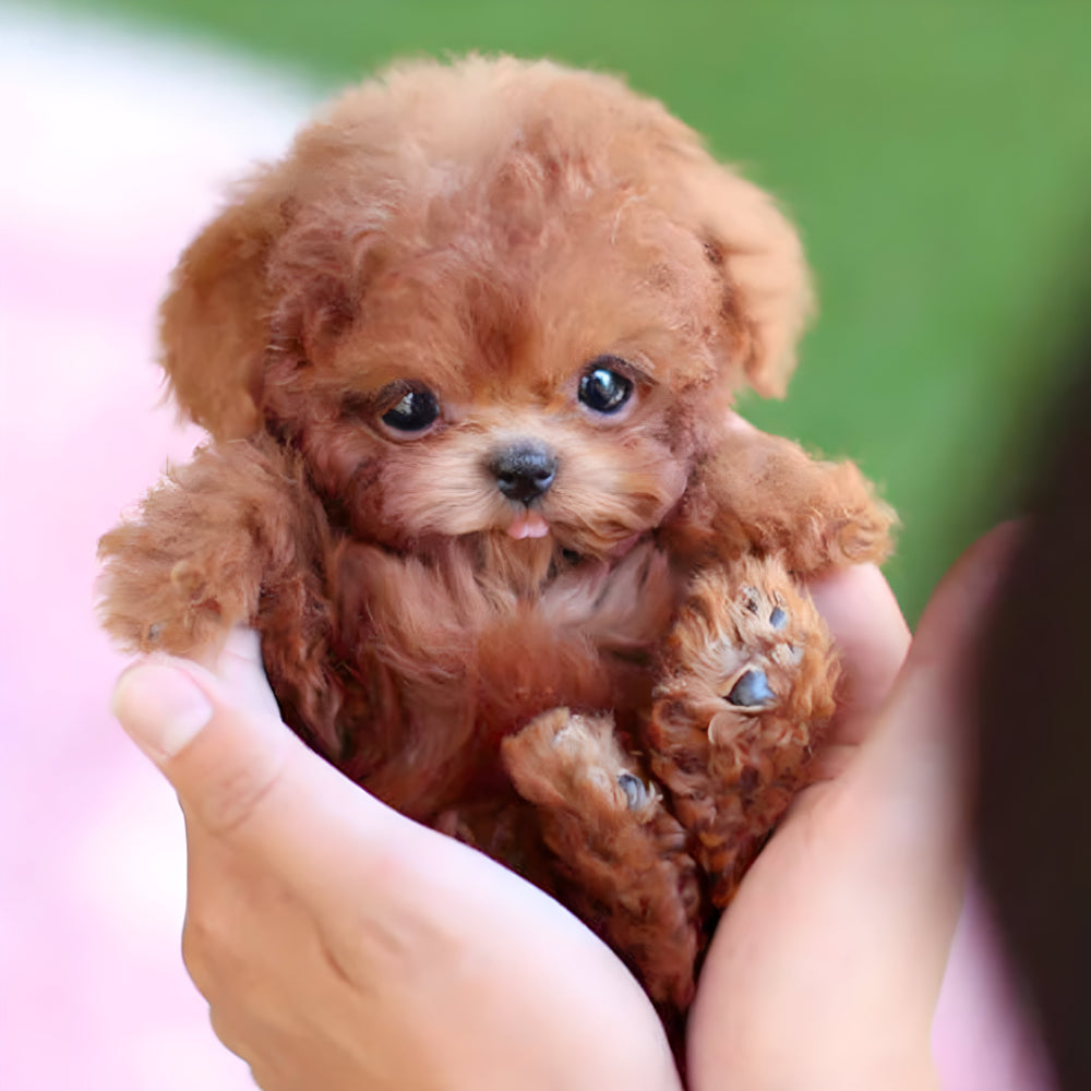 Close-up of the soft brown robotic puppy held in hands