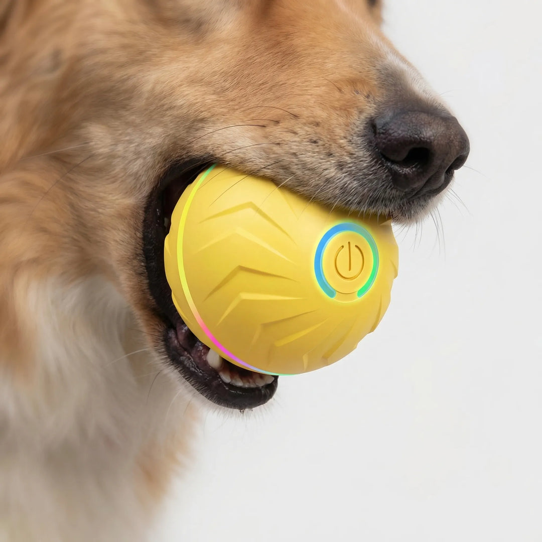 Rechargeable automatic dog toy showing USB charging port close-up
