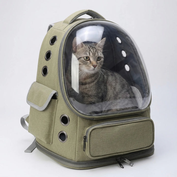 Transparent window pet travel backpack showing a cat inside safely