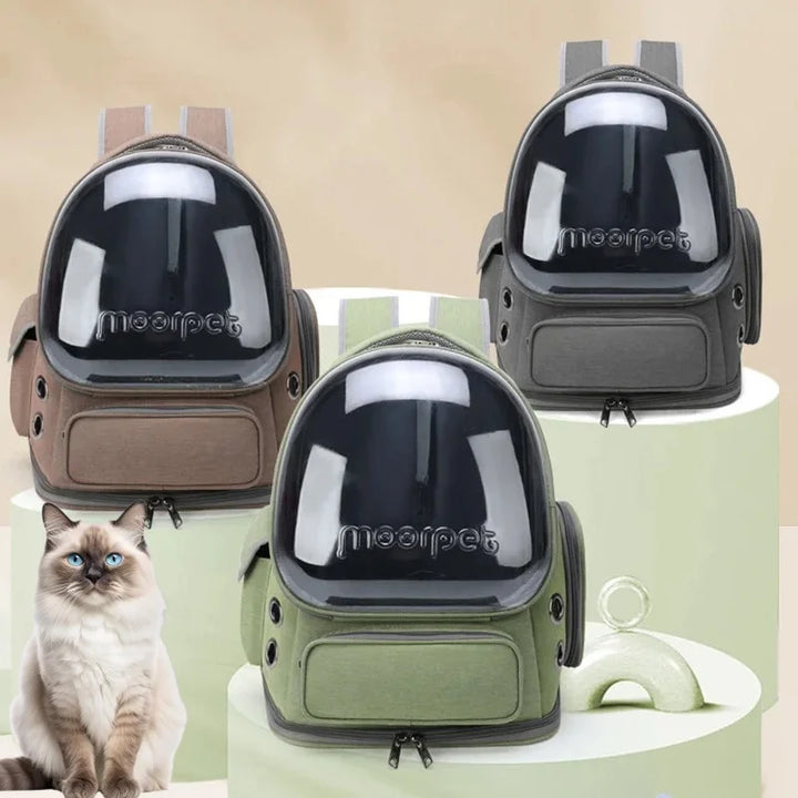 Transparent pet bag opened to display interior space for small pets