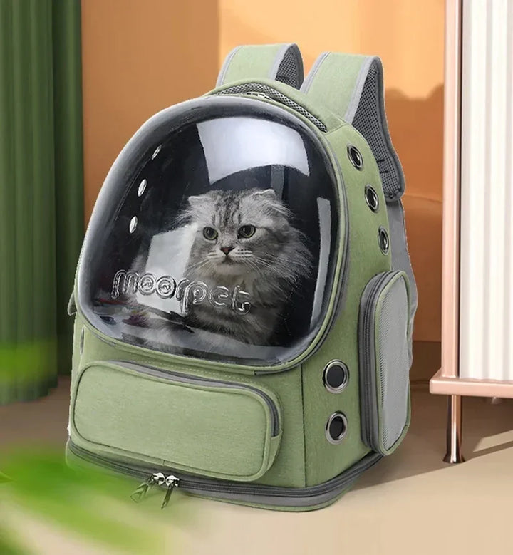 Durable outdoor pet gear travel backpack in a stylish modern design