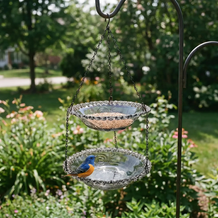 Clear gray two-layer hanging bird feeder filled with seeds and water in a lush green backyard.