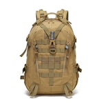 Light Brown