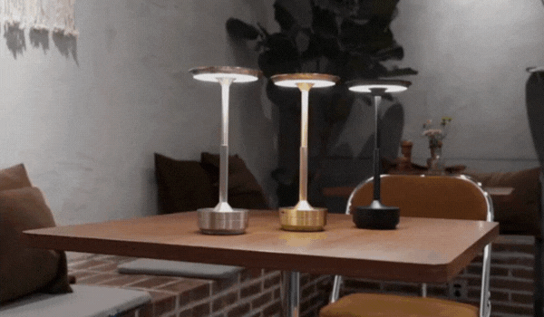 Portable cordless lamp illuminating a cozy living room bookshelf
