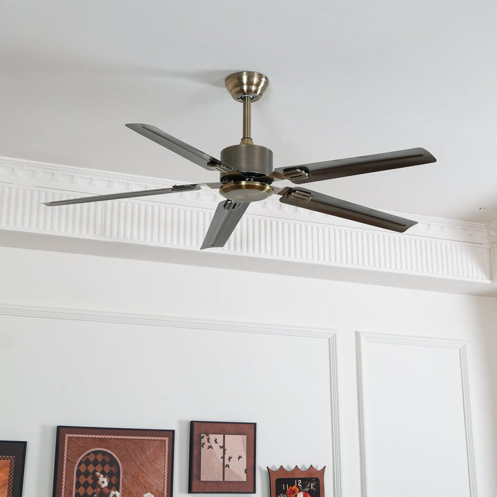Vosolara Premium Ceiling Fan gallery view showcasing modern metal design and indoor lighting