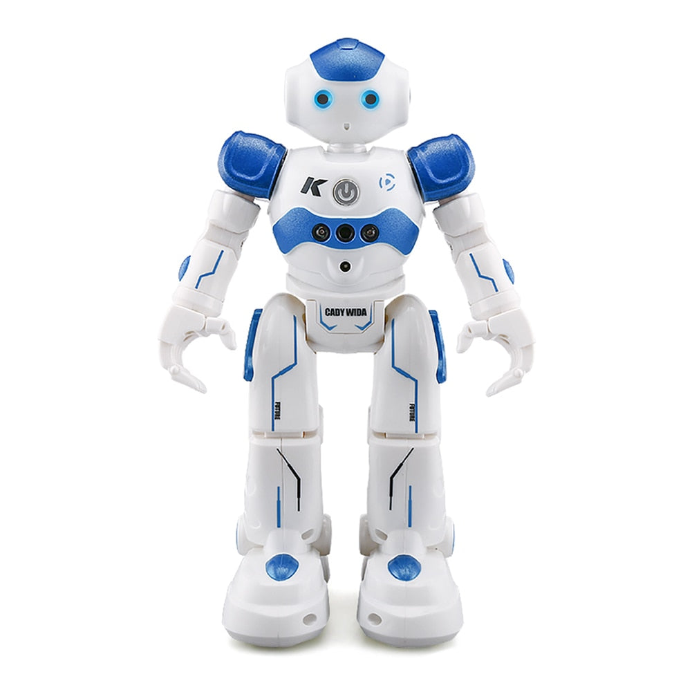 Blue and pink smart companion robot toys standing side by side