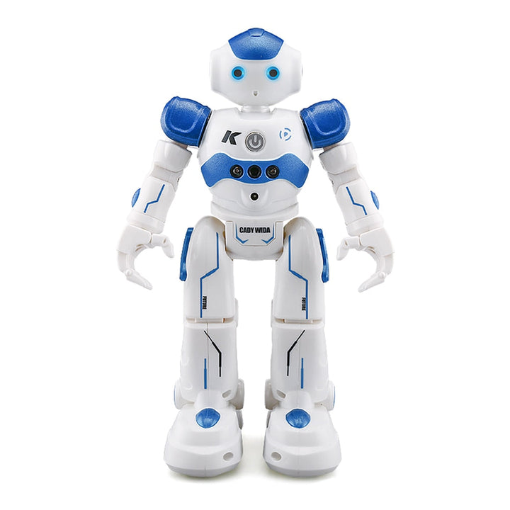 Blue and pink smart companion robot toys standing side by side