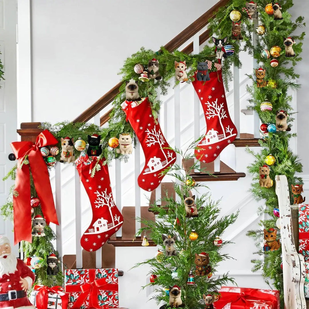 Cat Christmas countdown calendar packaging with festive decorations