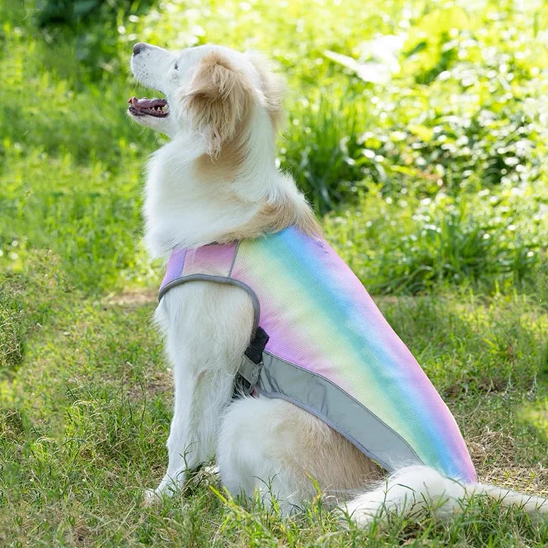 Dog wearing colourful rainbow cooling vest sitting on grass