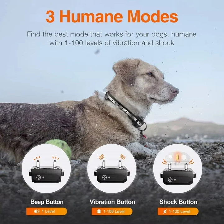 Dog wearing the reflective training collar outdoors with mode icons shown