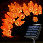 Orange Light