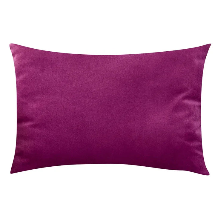 Soft velour pillowcase 30x50 cm ideal for sofa accessories and home styling