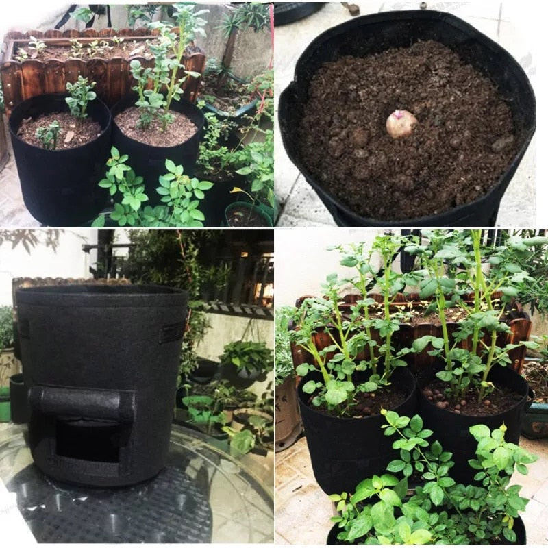 GrowMaster fabric grow pot for vegetables on a sunny balcony