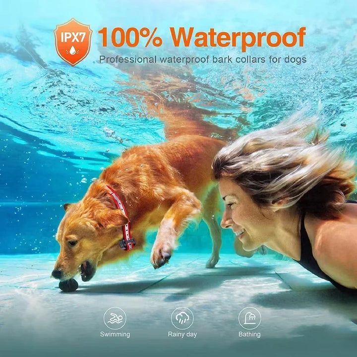Waterproof dog training collar receiver with adjustable strap for pet obedience