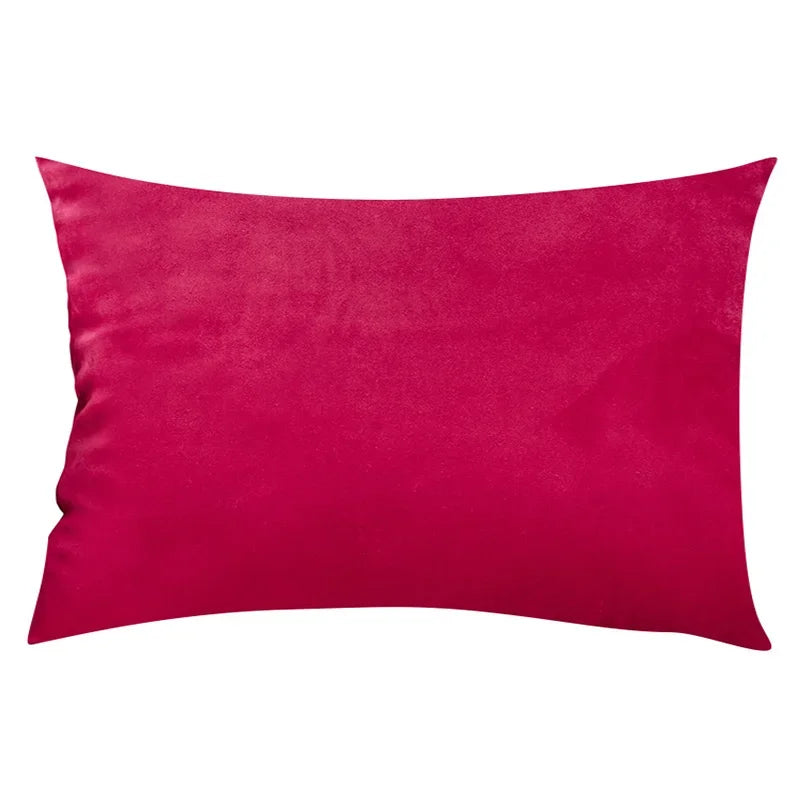 Velour accent pillow cover 30x50cm adding texture to living spaces