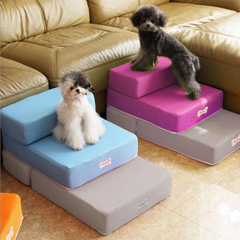 Small dog standing on blue and grey 2-step pet stairs beside a leather sofa