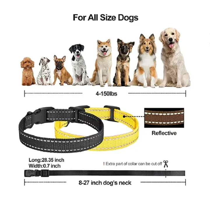 Rechargeable remote dog collar with clear LCD screen for pet training