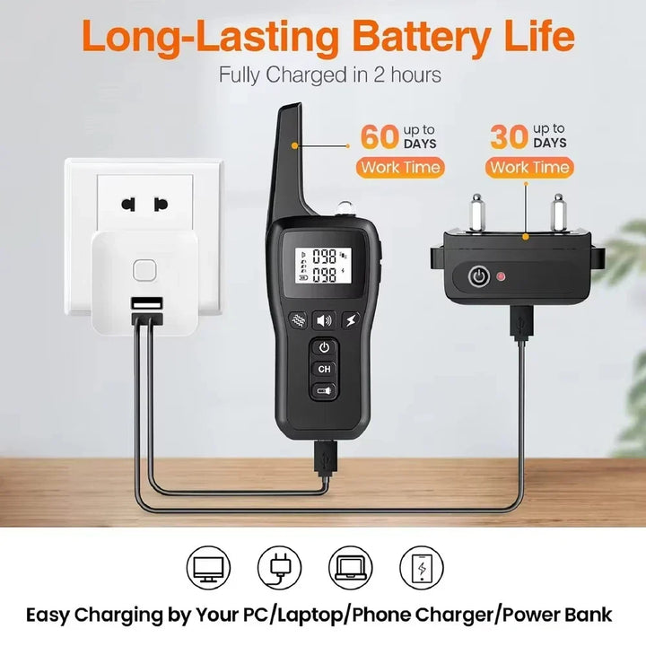 Dog training collar receiver and remote control connected to USB chargers