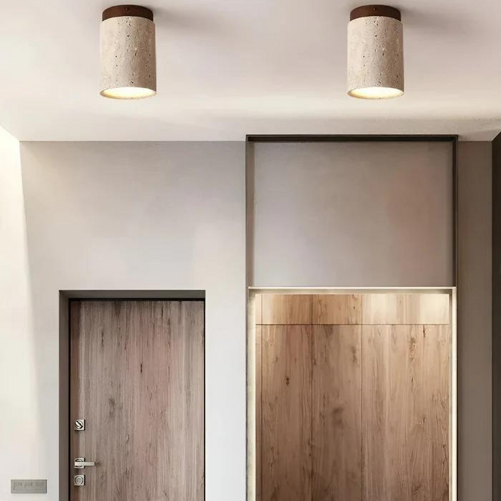 Two ZenLight LED ceiling light fixtures installed in a modern hallway interior near a wooden door