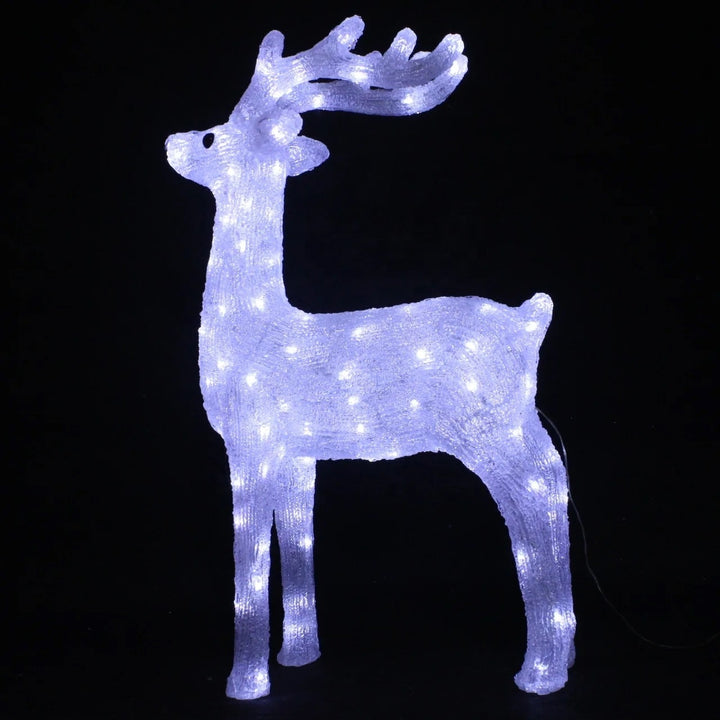 Illuminated acrylic reindeer decoration with warm white LEDs against dark background