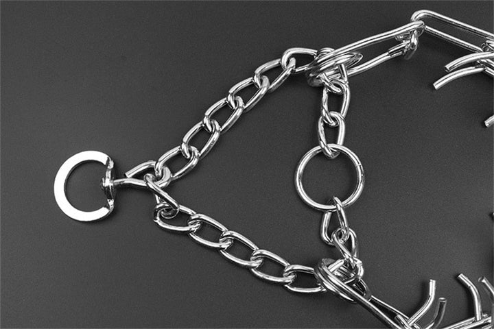 Detailed shot of the buckle and adjustment mechanism on a pet training collar