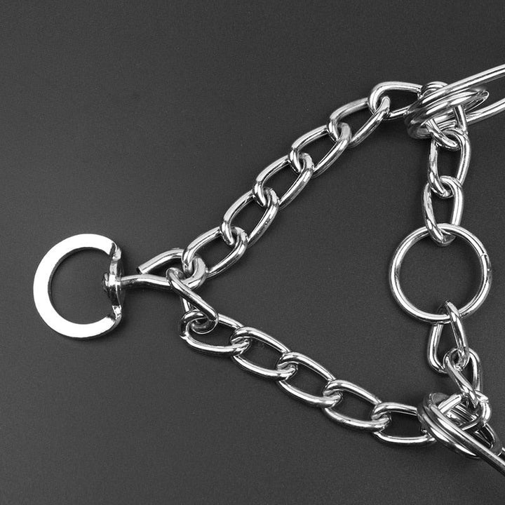 Close-up view of rubberized prongs on a pet training collar for dogs