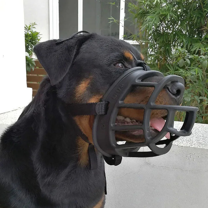 Black adjustable silicone dog muzzle worn by a large dog outdoors