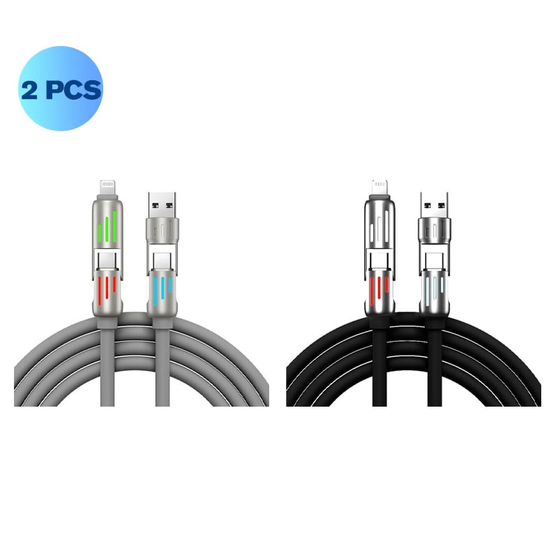 Detailed view of the fast charger pin connectors and port compatibility