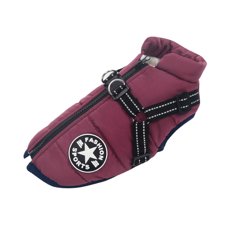 Dog winter wear highlighting the easy-to-use zipper closure
