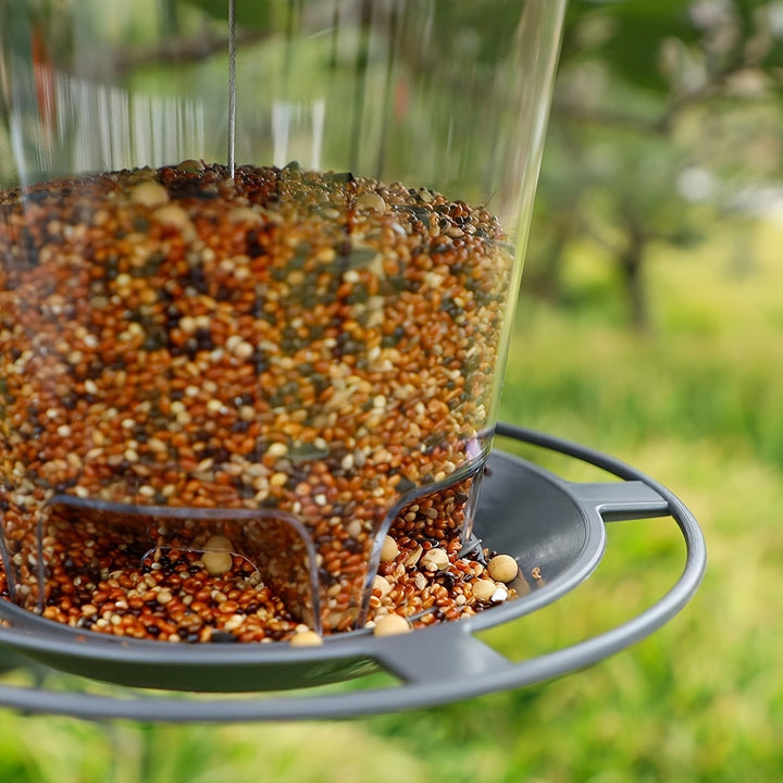 Wild bird eating from a decorative mushroom hanging feeder in a backyard