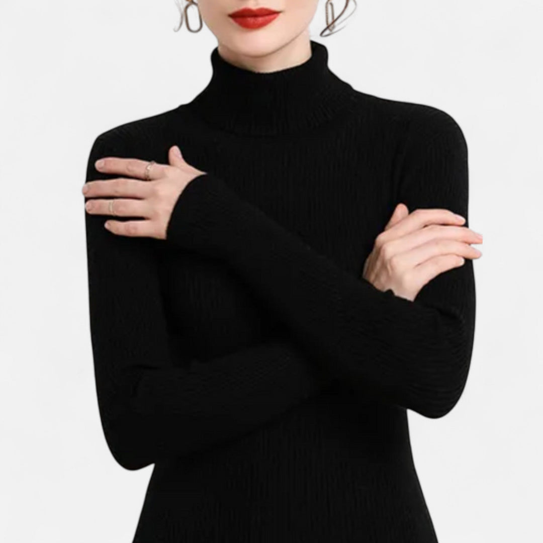 Minimalist fashion turtleneck shirt featuring long sleeves