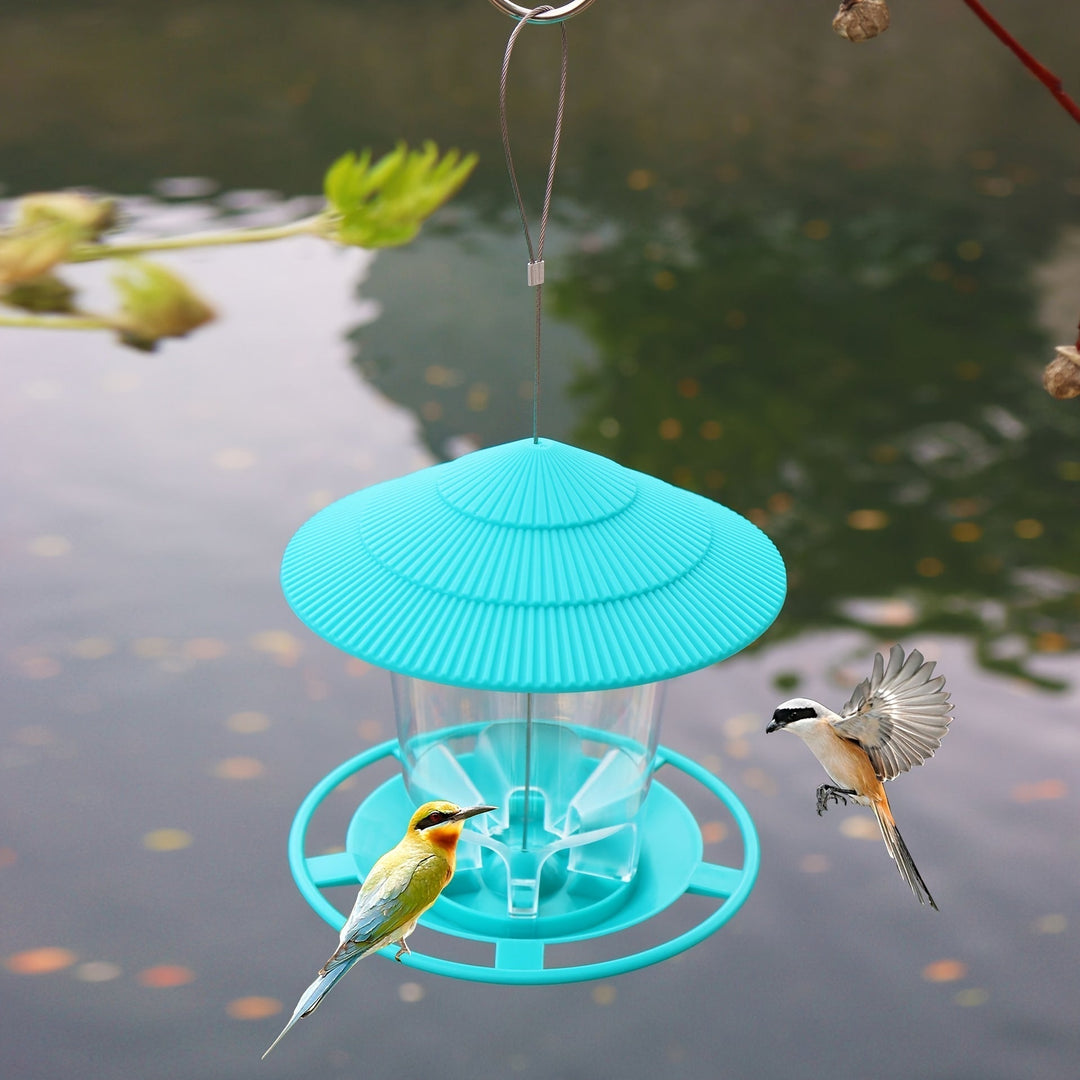 Garden decor mushroom bird feeder hanging from a branch for birdwatching