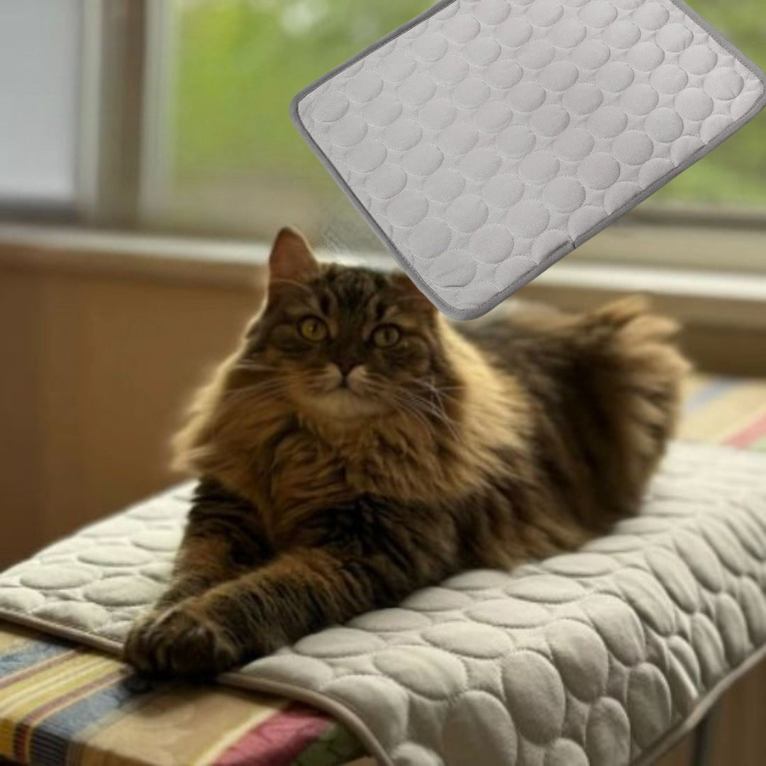 Fluffy cat resting comfortably on a light gray cooling mat for cats near a window