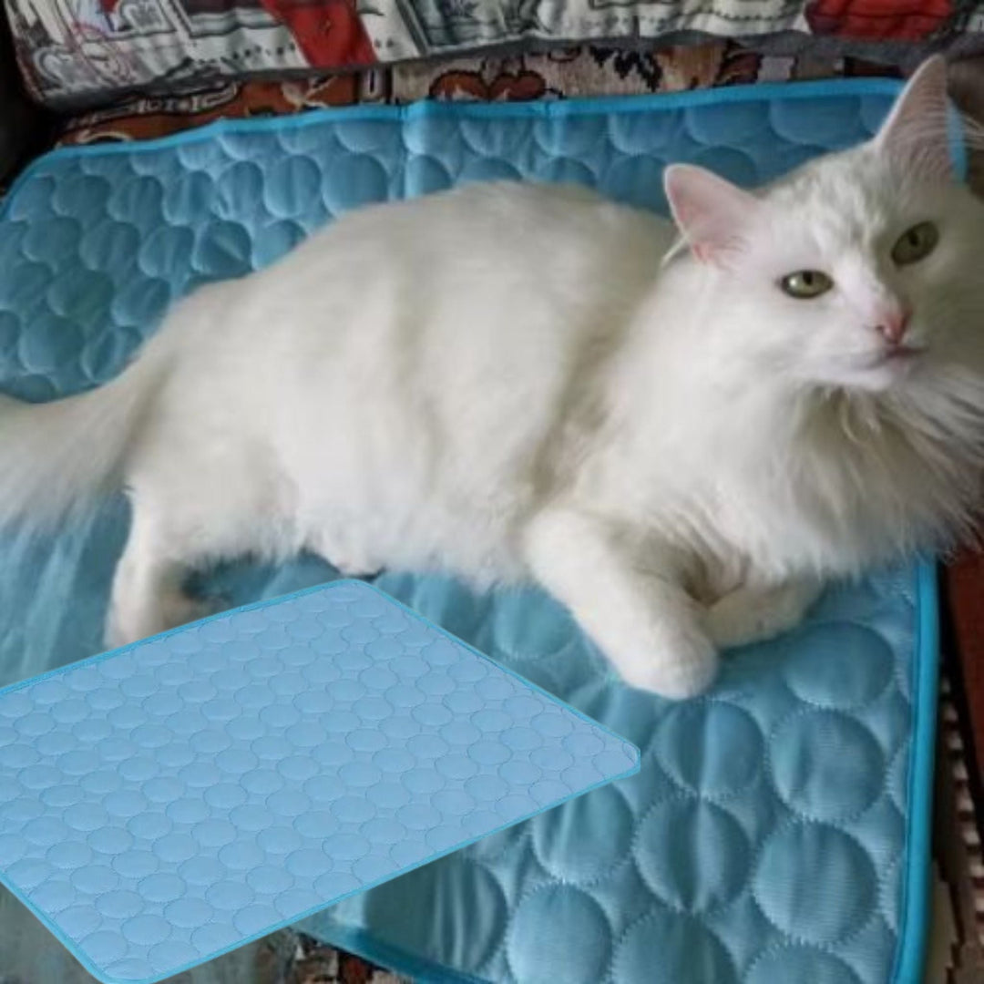White cat lying on a bright blue pet cooling mat indoors