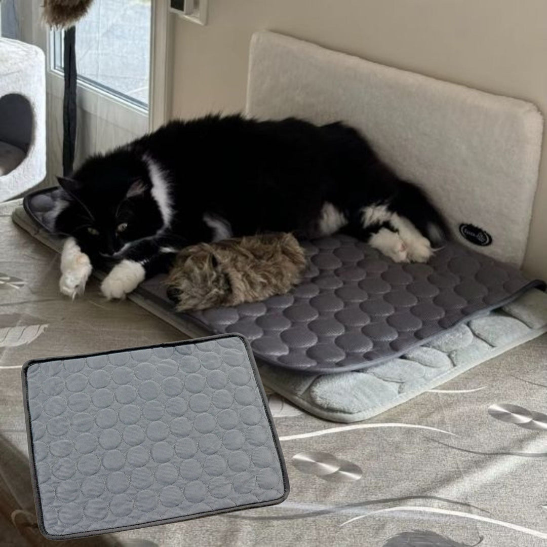 Cat cooling mat for summer pet relief and hot weather comfort