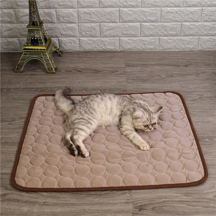 Small dog relaxing peacefully on soft blue cat cooling bed