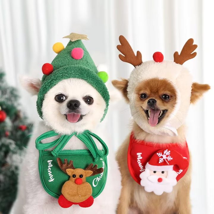 Cute small dogs wearing green and white festive holiday costume sets