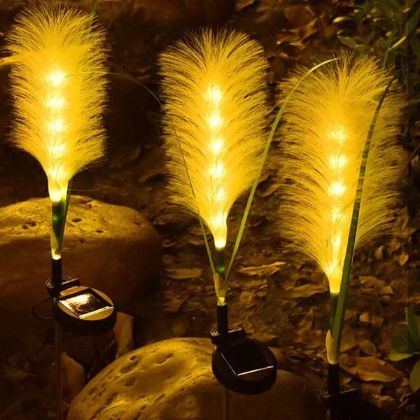 Set of decorative LED garden reed lamps creating ambiance outdoors