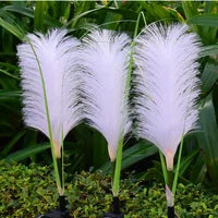 White decorative reed garden lights installed in outdoor greenery