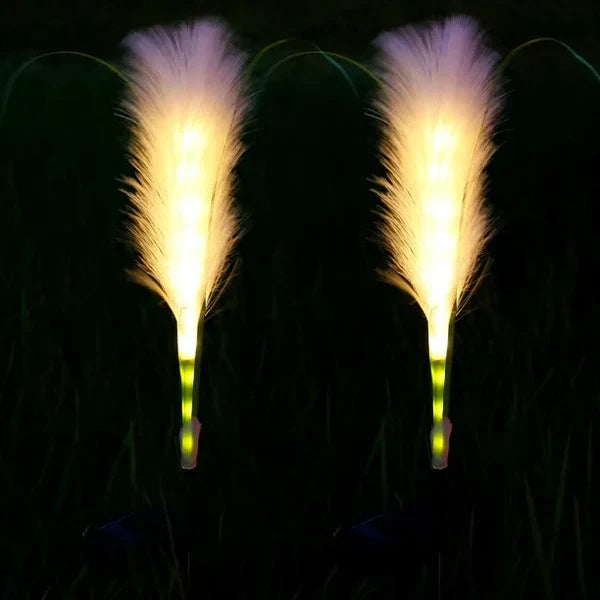 Decorative LED garden lighting reed lamp glowing softly at night