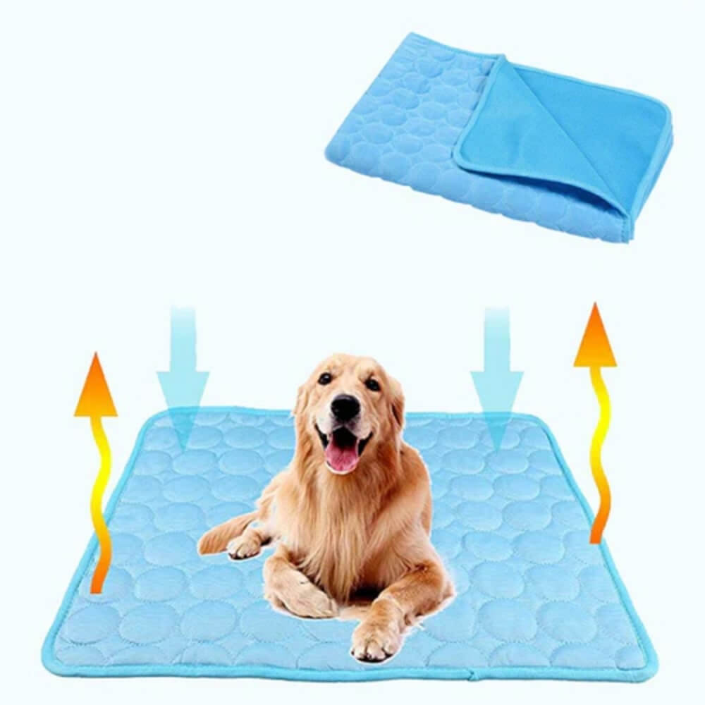 Golden retriever resting on a blue pressure-activated dog cooling mat outdoors