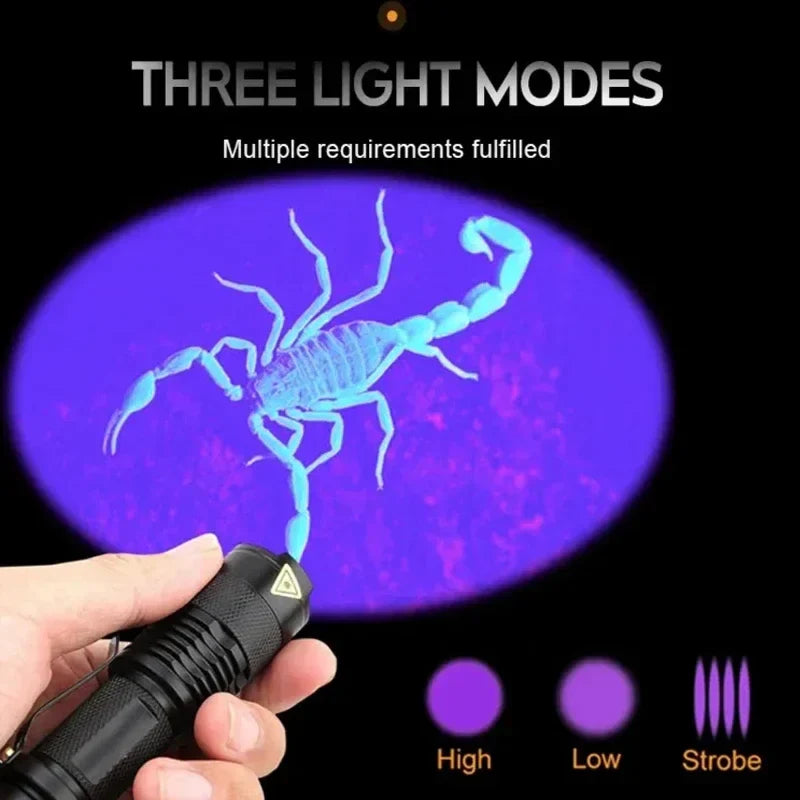 Compact portable UV flashlight showing scorpion and mineral glow