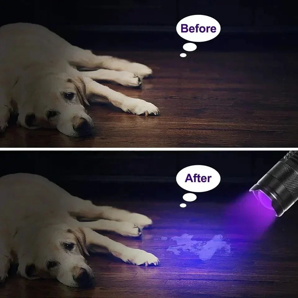 UV flashlight illuminating pet urine and hidden stains on carpet