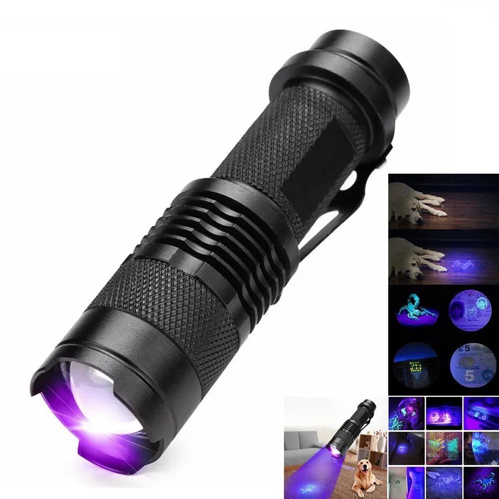 Handheld blacklight gadget detecting dry pet urine on hardwood floor