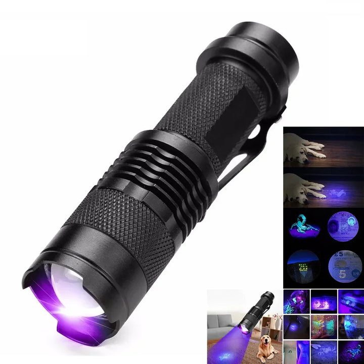 Handheld blacklight gadget detecting dry pet urine on hardwood floor