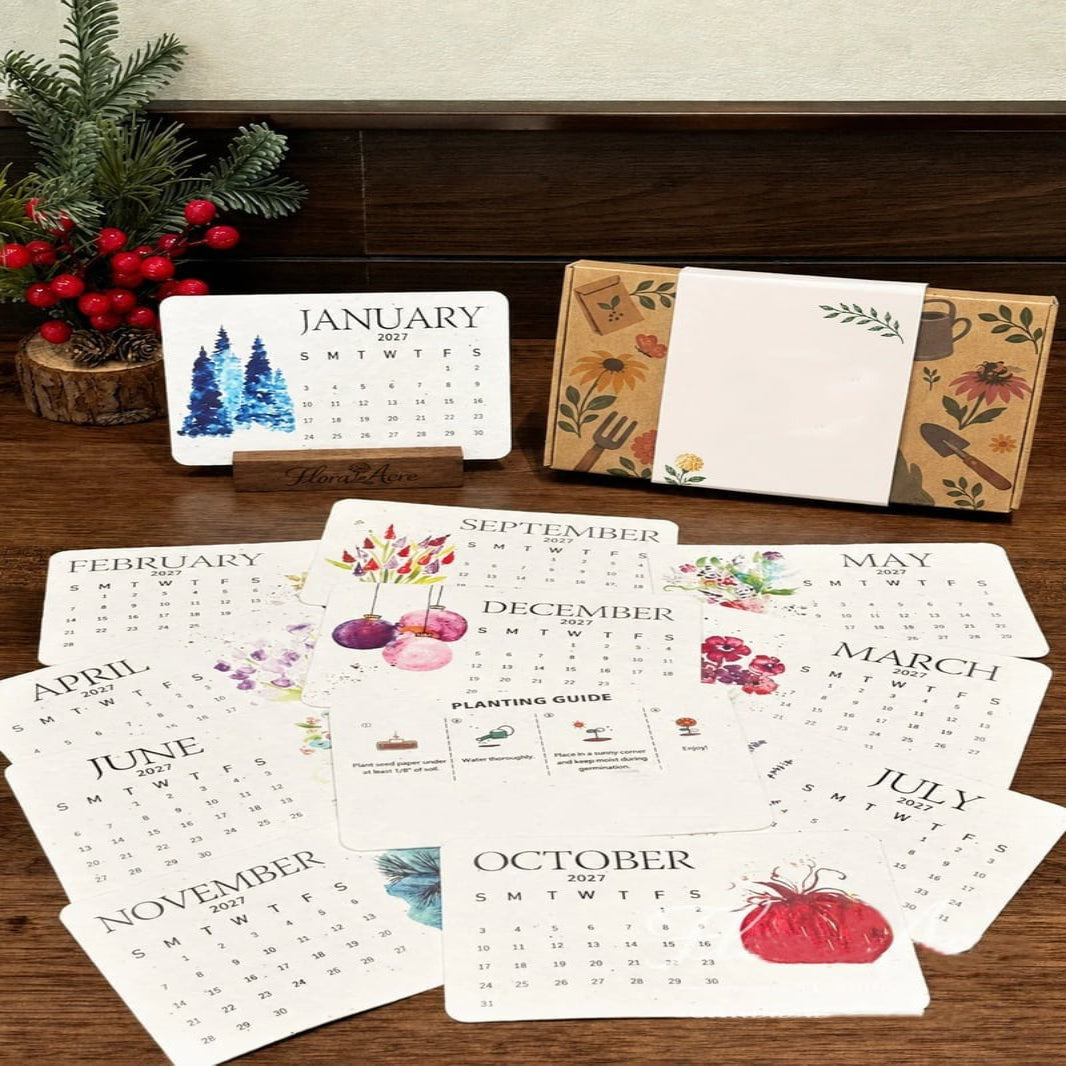 Plantable Seed Paper Calendar 2027 spread out with all monthly cards displayed next to a decorative box and wooden stand