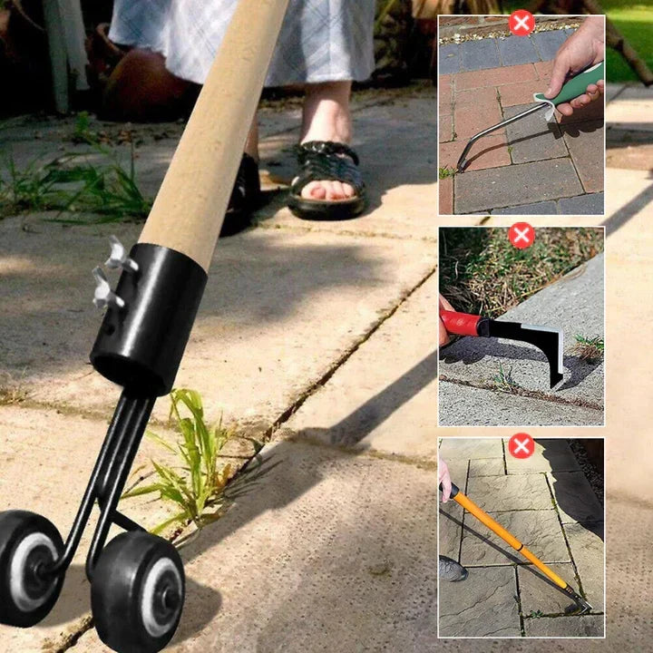 Gardener using the rolling weed remover tool outdoors