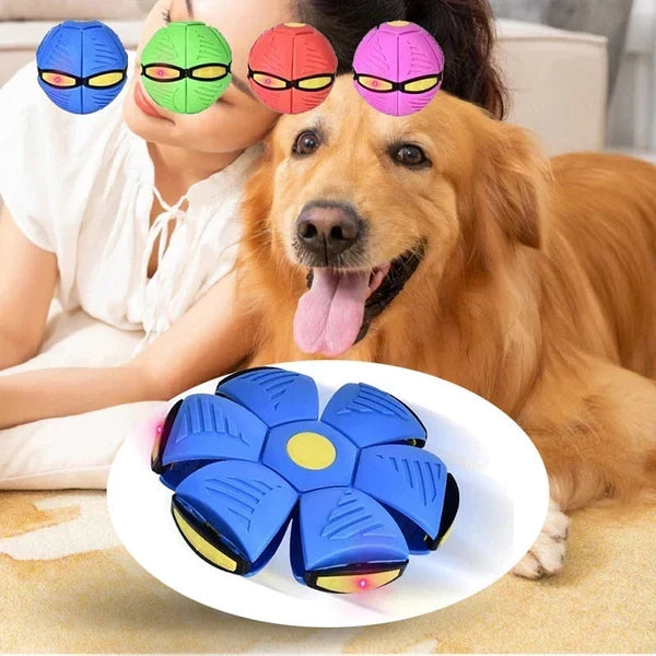 Dog and owner interacting with colorful transforming disc toys