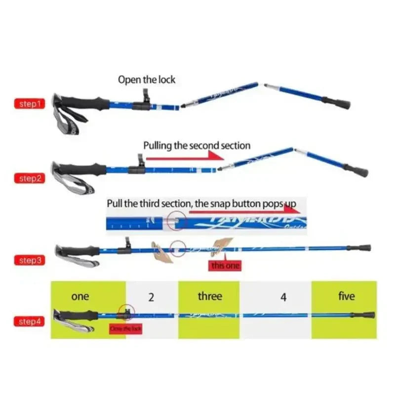Set of folding walking sticks and camping accessories laid out on flat surface